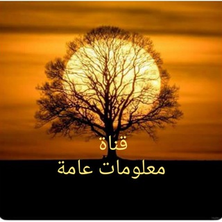معلومات عامة (@hhhh11)