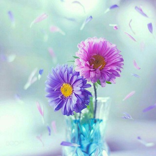 خٰـہٰٖوٰاٰطٰـہٰٖرٰ عٰـہٰٖمٰـہٰٖيٰـہٰٖقٰـہٰٖة🌸✨ (@yomeat_asheq)