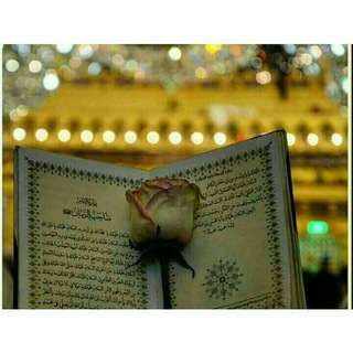 طِــاعة اللُـــُه تجمٌـــعنَــا✨ (@gcchv)