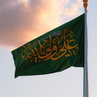 الولاية الحيدرية (@amamalialeh)