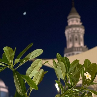 فَإِنِّي قَرِيبٌ🌼 (@feanyqreep)