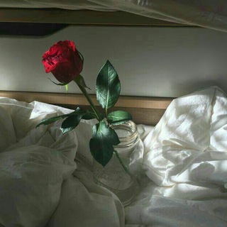 غٌــــــ "روحــــ💔" ــربٍّة (@sooouly)