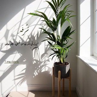 شُرفَه🌿. (@jidc1k)