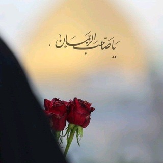 مَهْدِيّ الرُّوح³¹³. (@mahdialrohh)