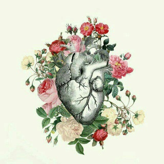 طمأنينة قلب . (@roor_0om)