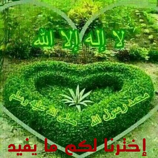 🌸 اخترنا لكم مايفيد 🌺 (@foaeed1)