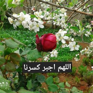 اللهم اجبر كسرنا (@allhm1agbr1ksrana)