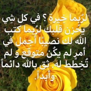 سارة 🧚‍♀️توكيدات وأمتنان🪺 (@llsarahamdanll)