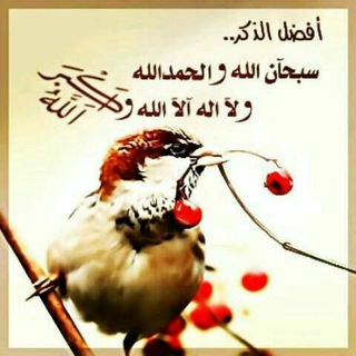 🌺للفردوس الأعلى نسعى🌺🌾 (@llfrdos)