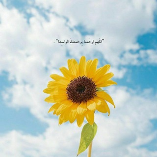 أرِح قـلبـك , 🌻 (@moh7100)