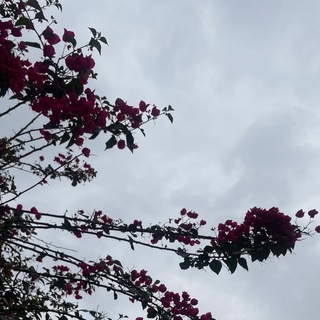 غيمة تفاؤل (@ghymh3)
