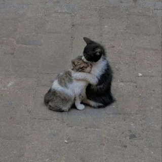 أتقبلنِي بما فيَّ؟ (@xoollp)