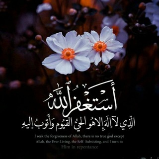قرآن الكريم (@krannm)