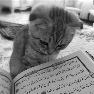-روحٌ وَ ريحَان. (@billn39)