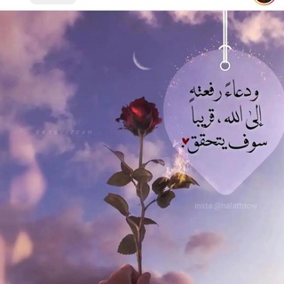 عطر الجنة (@mhajra)