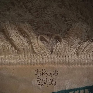 زهره . (@taghrid23)