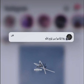 موئِلا (@dpq1234)