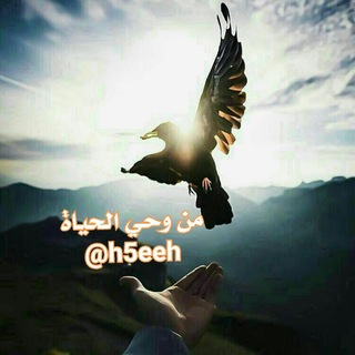 من وحي الحياة (@h5eeh)