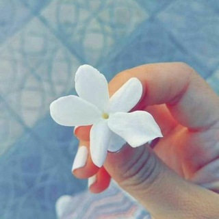 ⇦؏ـآلـ↵ ـم⇠ګتګو۫ۧتهٰ̐ہ ̐” (@special2222)