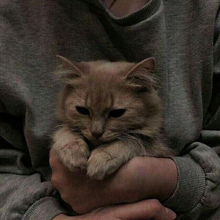 𝐃𝐚𝐫𝐤 𝐰𝐨𝐫𝐥𝐝 (@darkworled)